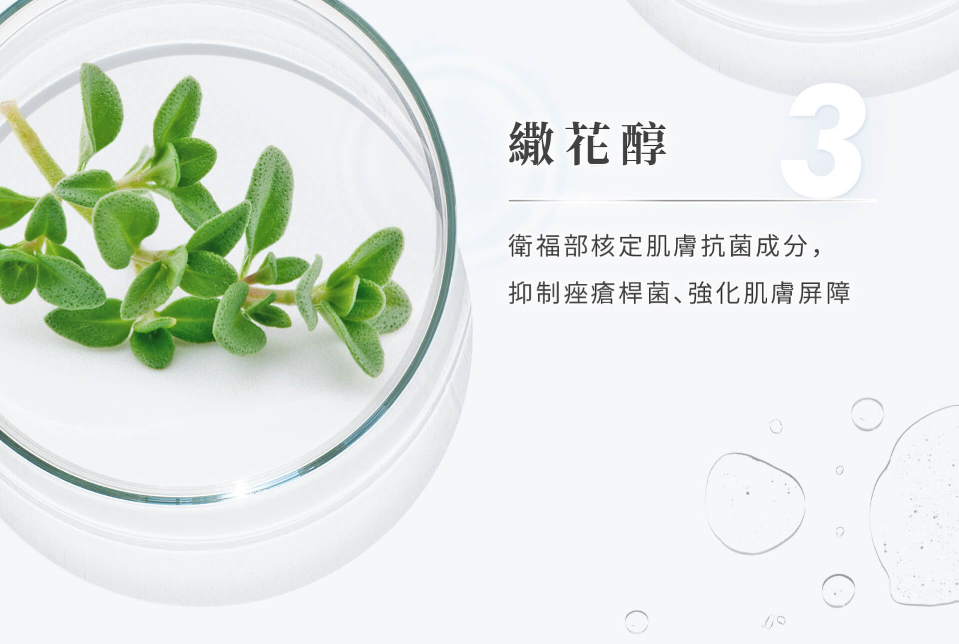 滿版banner