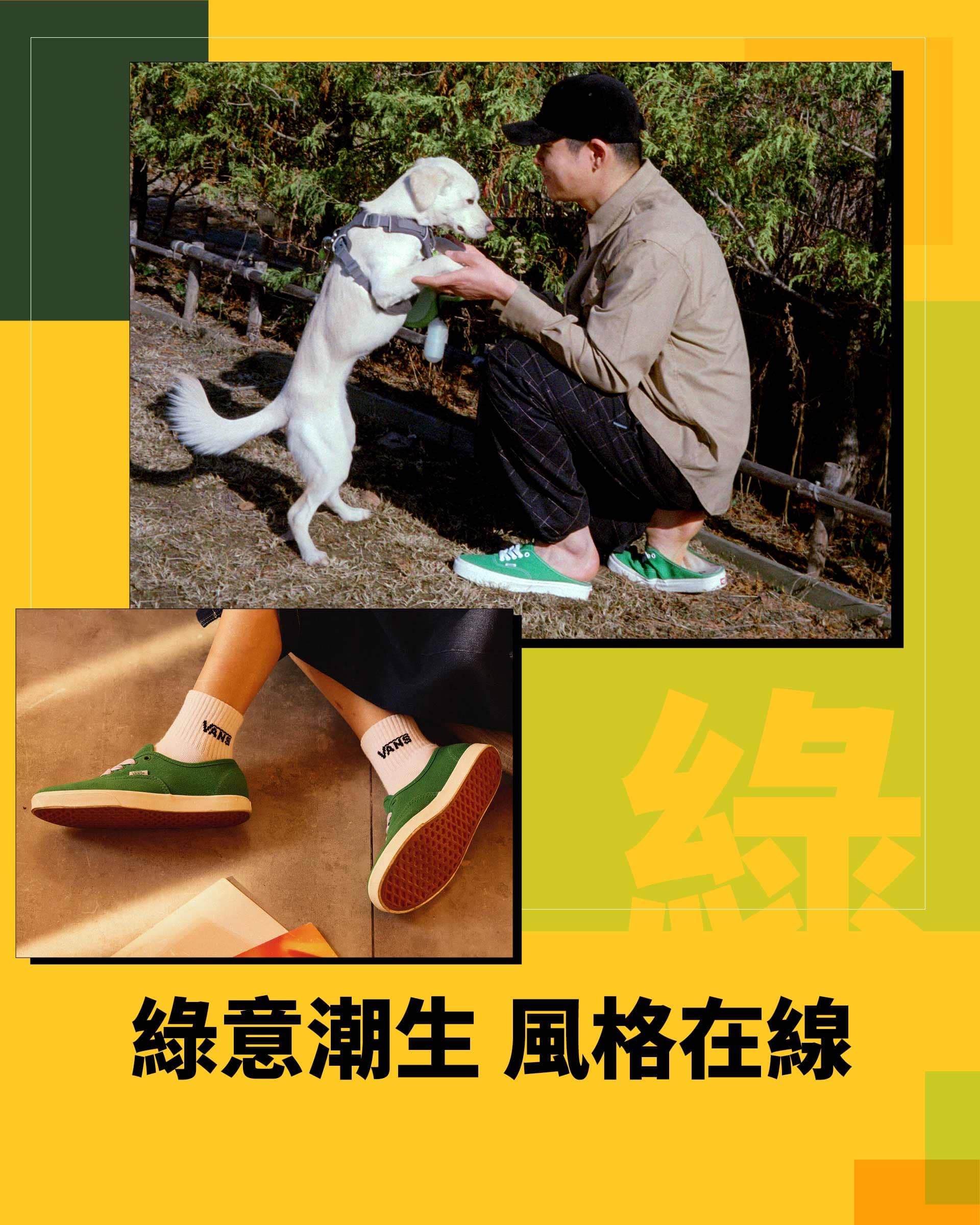 滿版banner