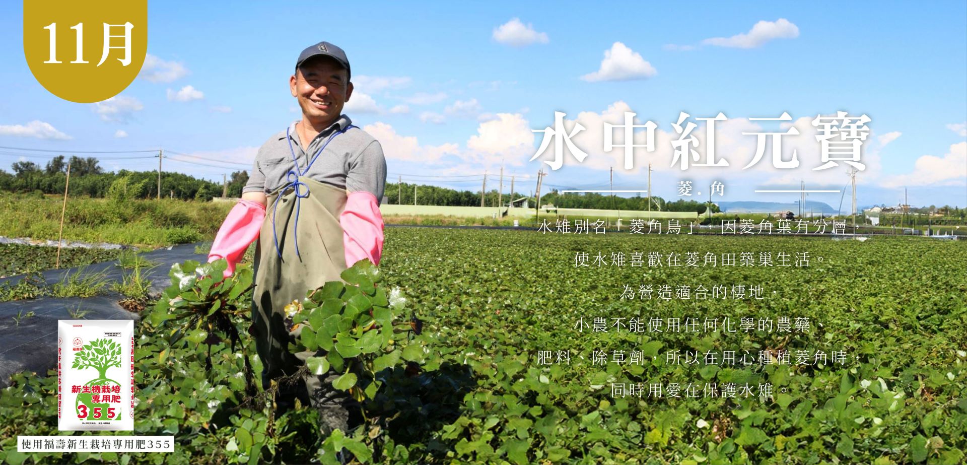 滿版banner