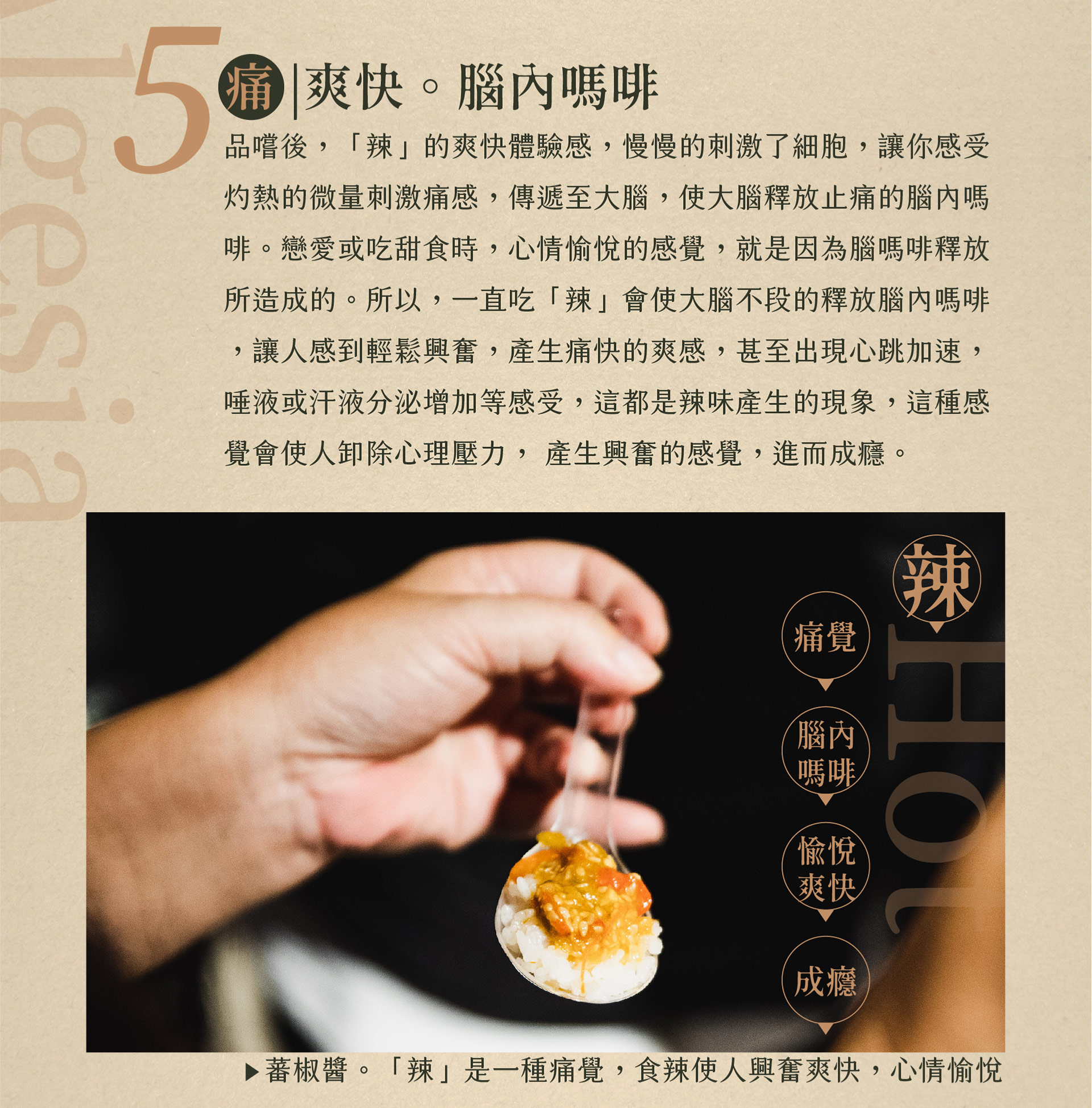 滿版banner